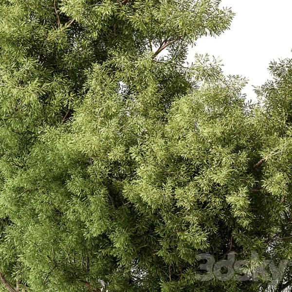 3DSky - Mixed Plant Bush Set 105 - Image 2