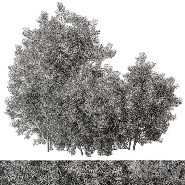 3DSky - Mixed Plant Bush Set 105 - Image 3