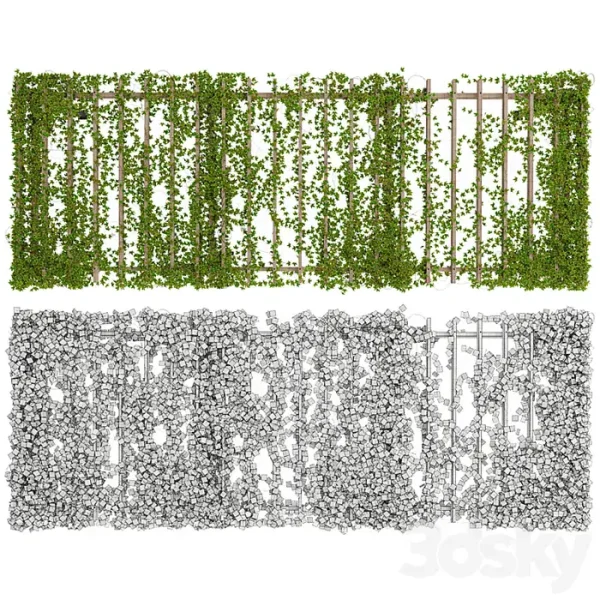 3DSky - Pergola with Ivy - Image 4
