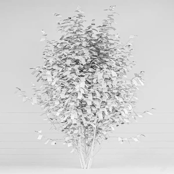 3DSky - Street Tree Vol 2 Mountain Ash - Image 4