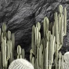 3DSky - Desert Plants Cacti with Wall Rock - Image 3