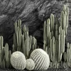 3DSky - Desert Plants Cacti with Wall Rock - Image 4