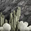 3DSky - Desert Plants Cacti with Wall Rock - Image 5