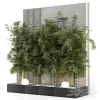 3DSky - Indoor Wall Bamboo Garden in Concrete Base