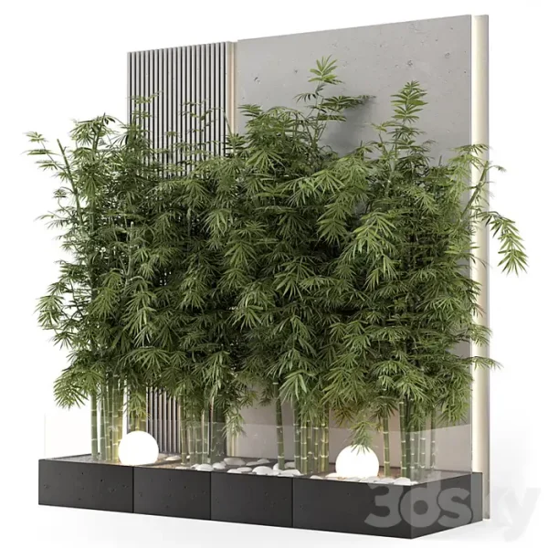 3DSky - Indoor Wall Bamboo Garden in Concrete Base