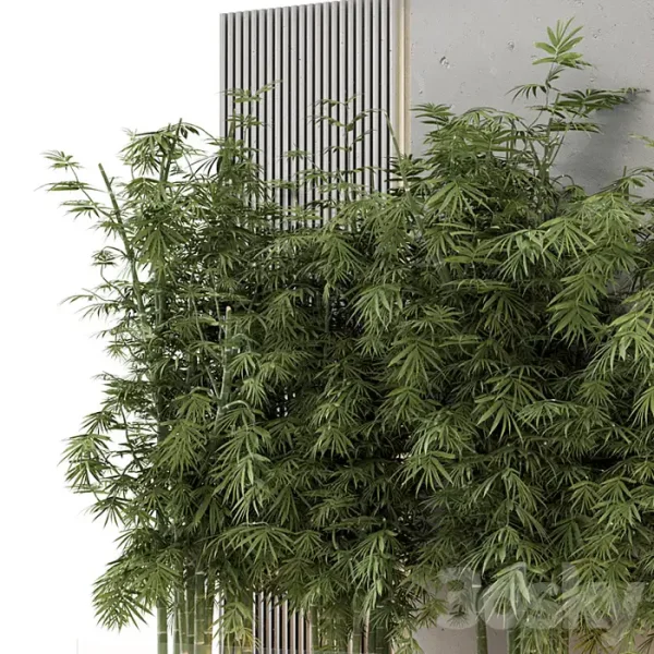 3DSky - Indoor Wall Bamboo Garden in Concrete Base - Image 2