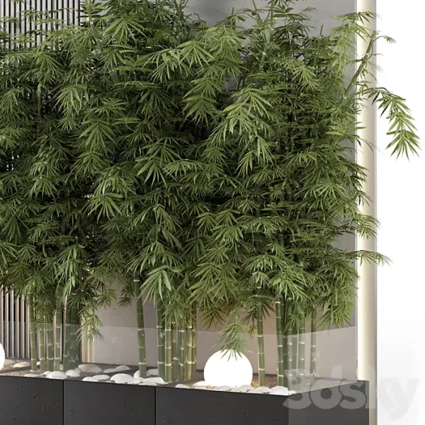 3DSky - Indoor Wall Bamboo Garden in Concrete Base - Image 3