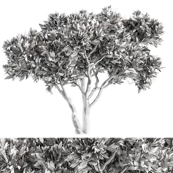3DSky - Stone Pine Tree Set 190 - Image 4