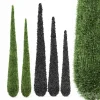 3DSky - Cypress 5 Trees - Image 4