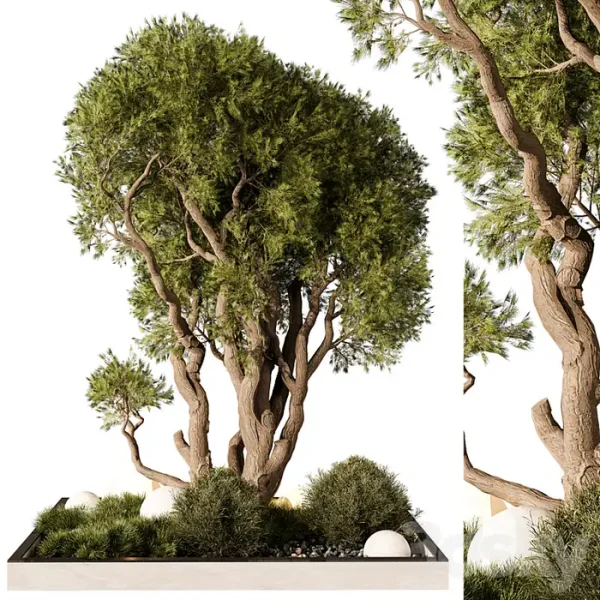 3DSky - Outdoor Plant 247