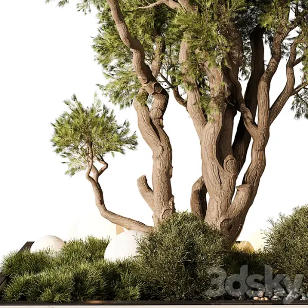 3DSky - Outdoor Plant 247 - Image 2