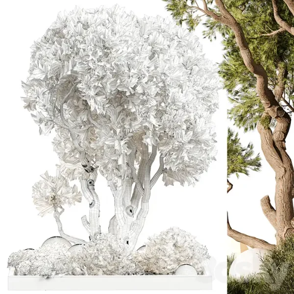 3DSky - Outdoor Plant 247 - Image 3