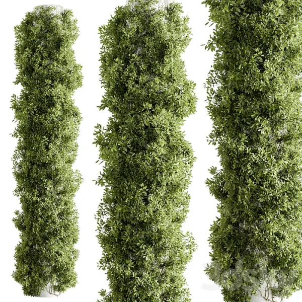 3DSky - Column Vertical Garden Wall Decor 93 - Image 2