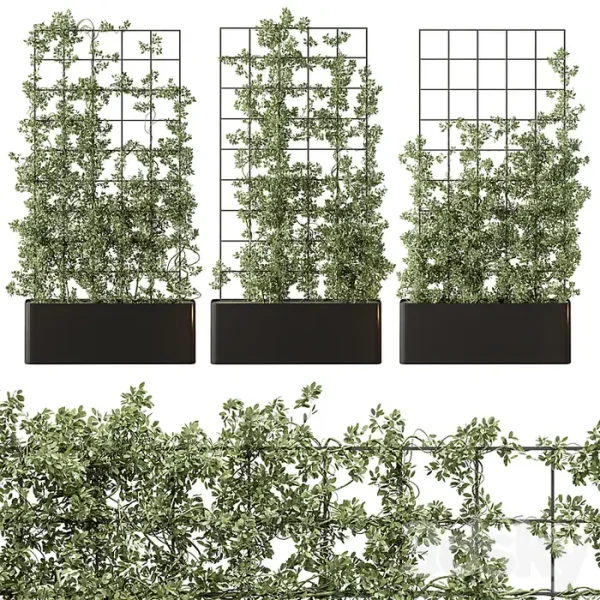 3DSky - Vertical Garden Partiton Set