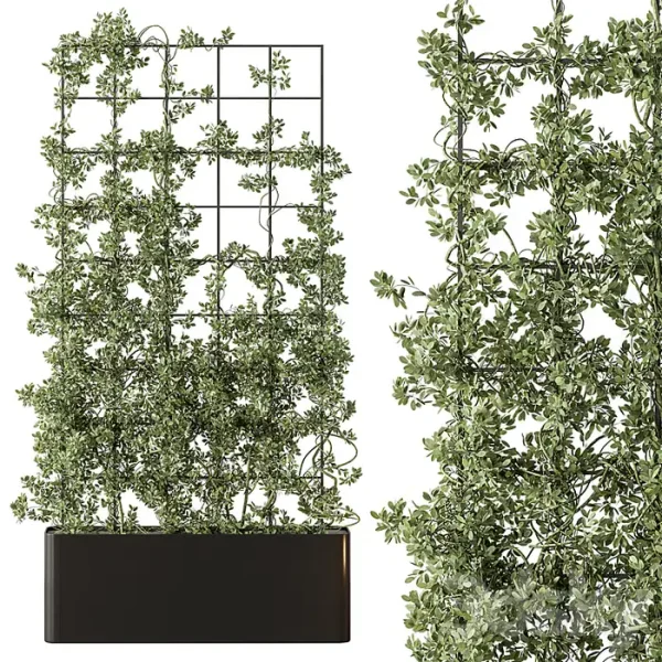 3DSky - Vertical Garden Partiton Set - Image 2