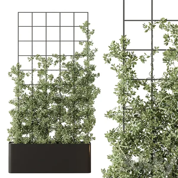 3DSky - Vertical Garden Partiton Set - Image 4