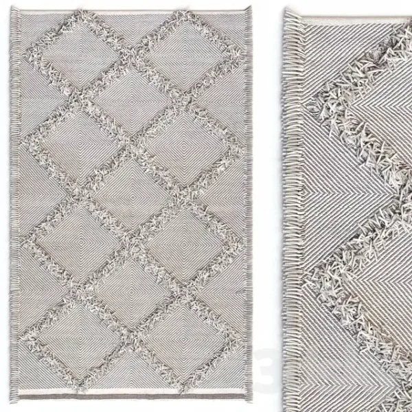 3DSky - Carpet NuLOOM Devon Diamond Trellis Tassel Shag Rug
