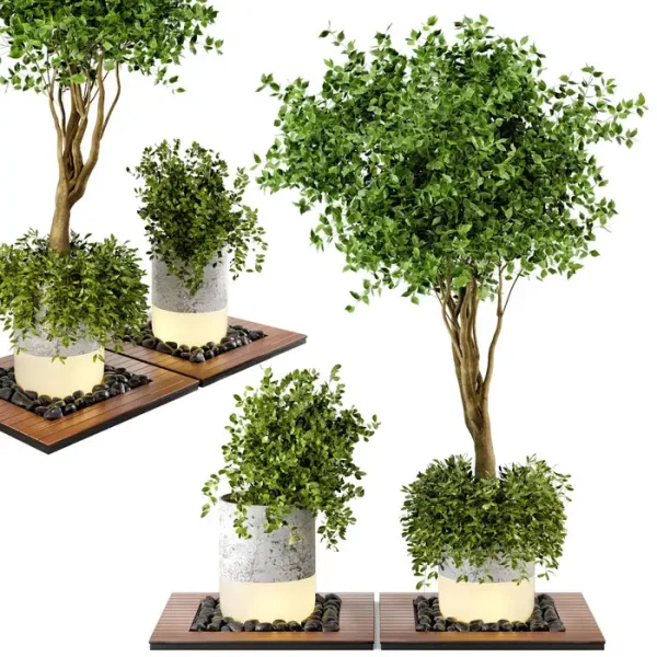3DSky - Outdoor Plants Bush & Tree Combination of Wood - Image 2