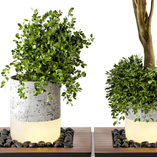 3DSky - Outdoor Plants Bush & Tree Combination of Wood - Image 4