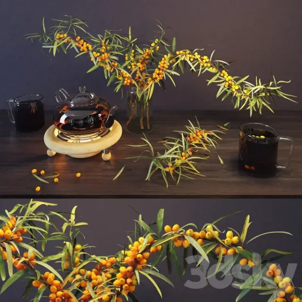 3DSky - Sea Buckthorn and Kettle