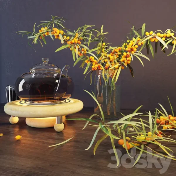 3DSky - Sea Buckthorn and Kettle - Image 2